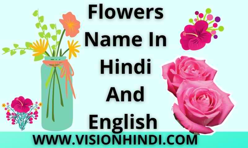 Flowers Name In Hindi And English With Picture 50 Best फ ल क न म