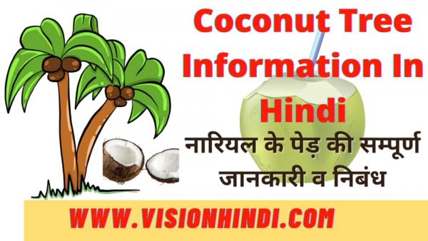 short essay of coconut tree in hindi